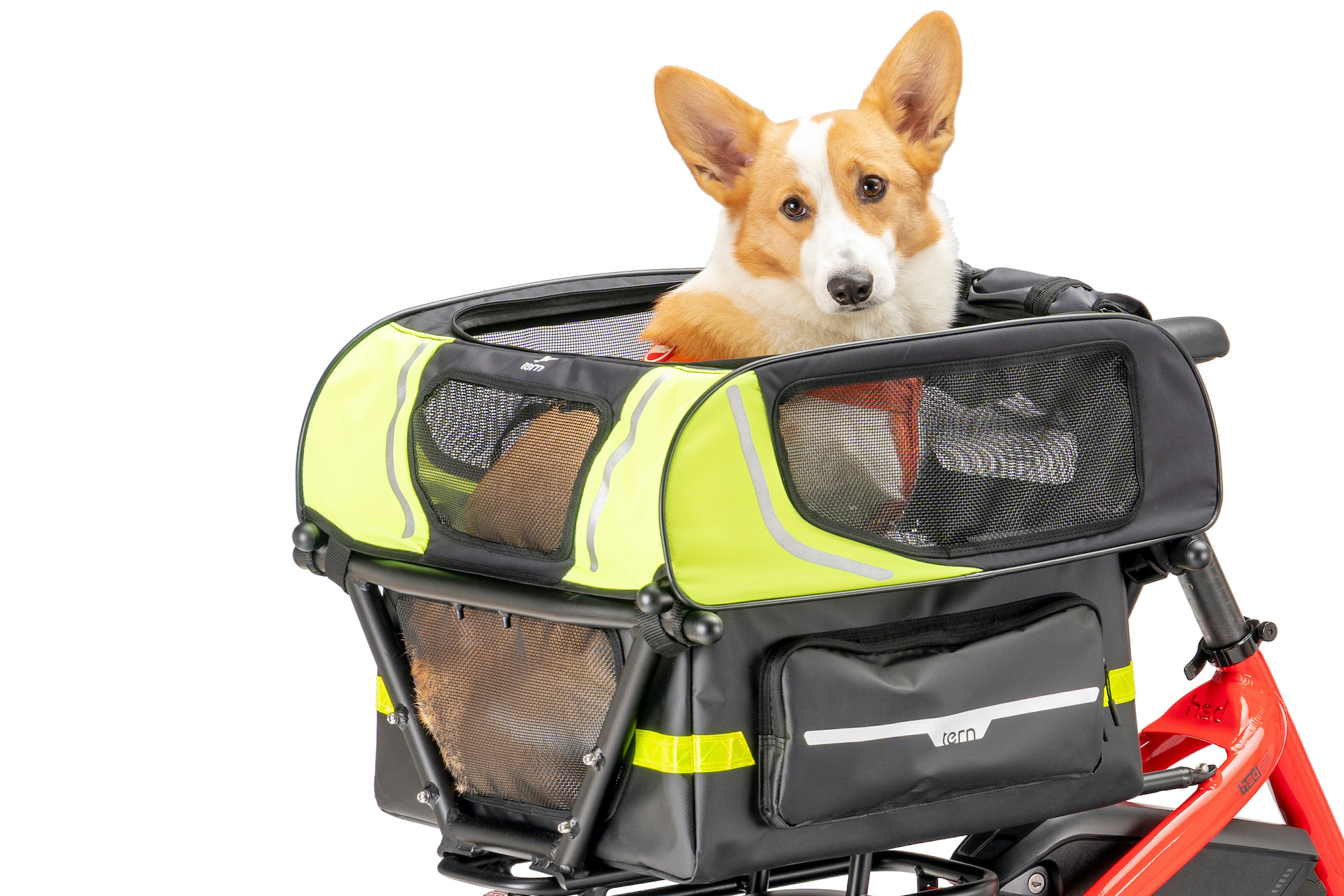 Dog Roof Mini: Rear Rack Dog & Pet Carrier| Tern Bicycles